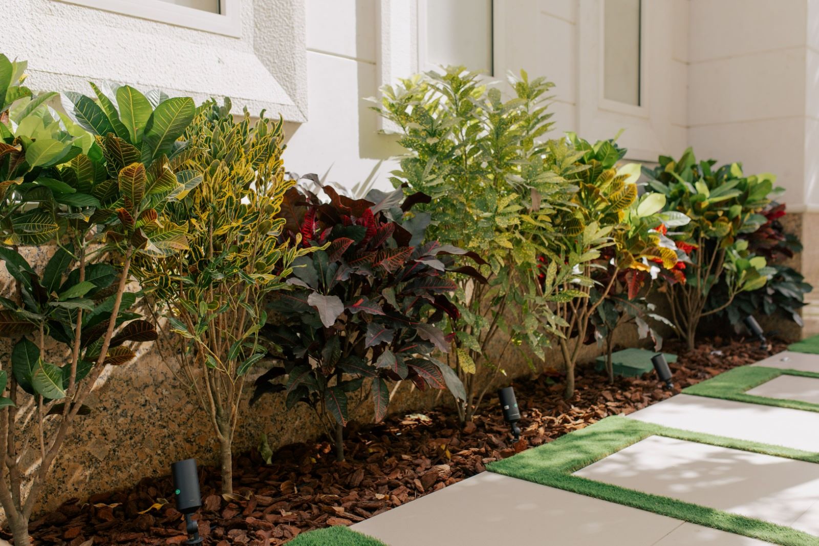 Landscape company Emirates Hills Dubai