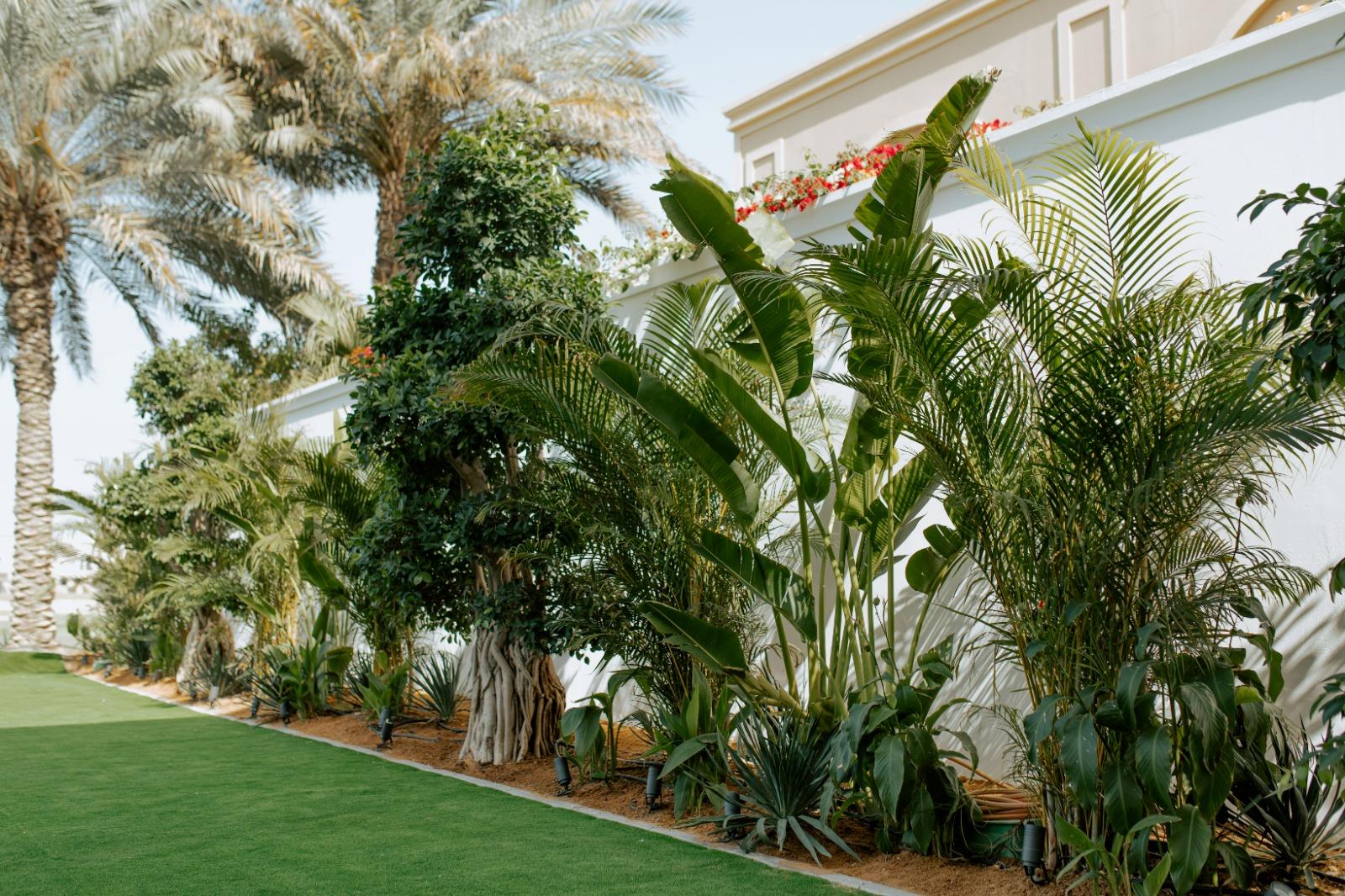 Landscape renovation Emirates Hills Dubai