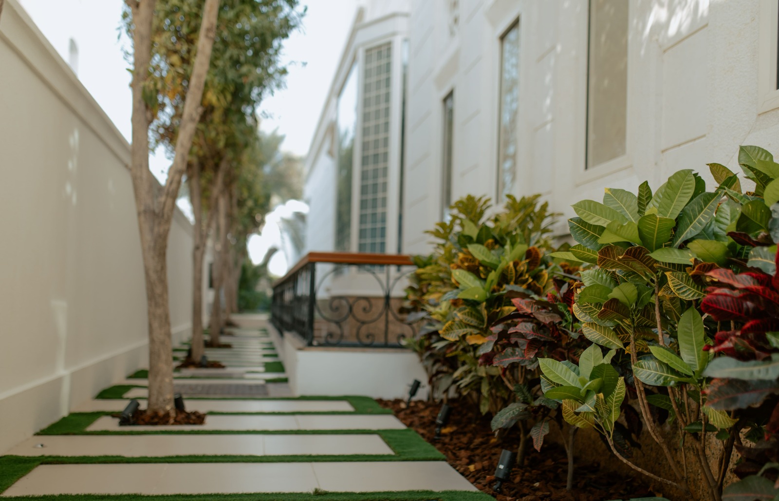 Maintenance outdoor plants Dubai