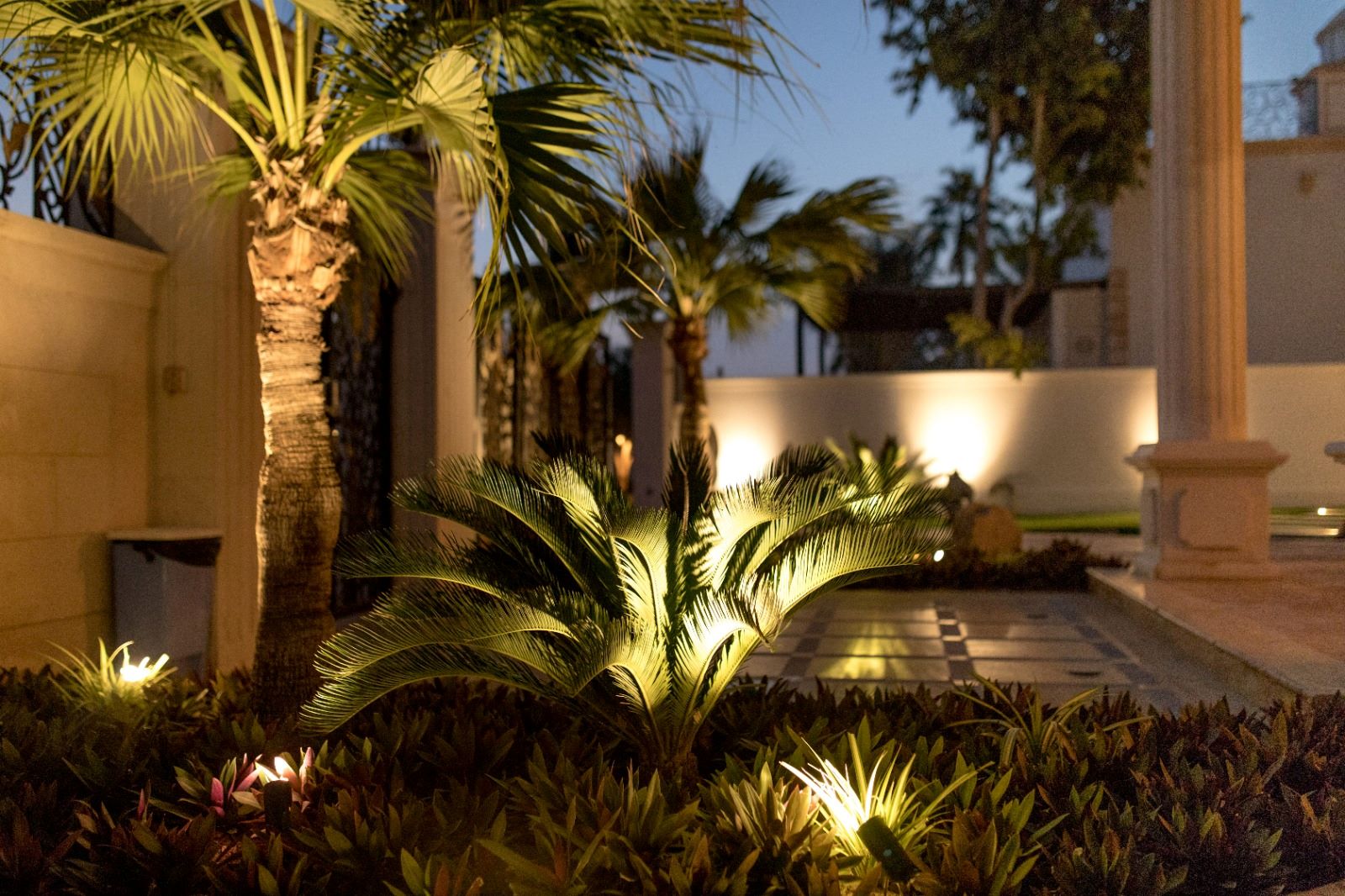 Outdoor plants Dubai Grand Builder