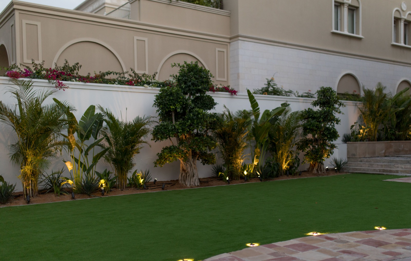 Outdoor tropical plants Dubai