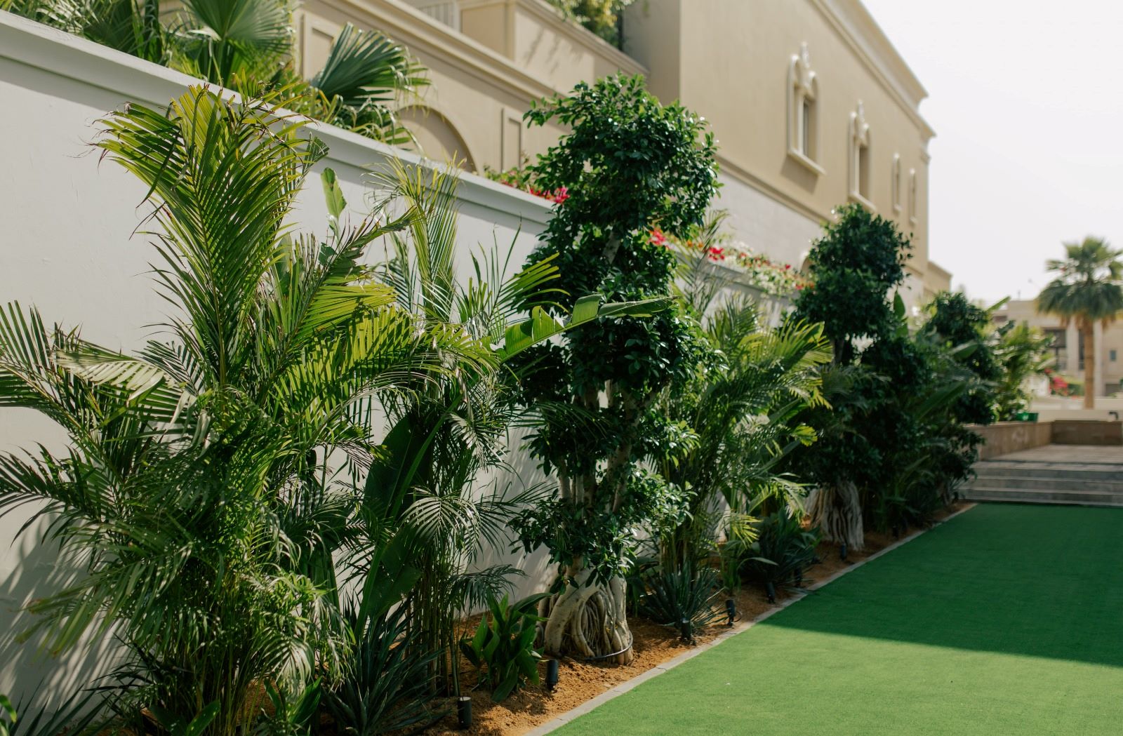 Tropical garden Emirates Hills Dubai
